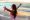 Functional Medicine Doctor Integrative Medical Practice Elba, Genesee County, NY