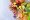 The Role of Nutrition in Managing Chronic Diseases