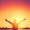 Success Stories from Integrative Health Approaches