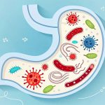 Gut Feeling: The Surprising Link Between Selenium, Aging, and a "Good" Gut Bug