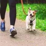 Your Guide to a Healthier Heart: HIIT, Breaks, and Beating Sedentary Habits