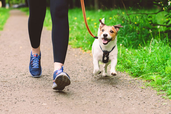 Your Guide to a Healthier Heart: HIIT, Breaks, and Beating Sedentary Habits