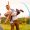 Comprehensive Guide to Building a Stronger Immune System
